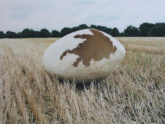 Schanz 09
